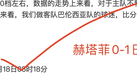 新周期集训队伍展望：老将新秀携手，聚焦接应与二传核心人才培养